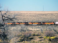 BNSF Railway in Holbrook,AZ